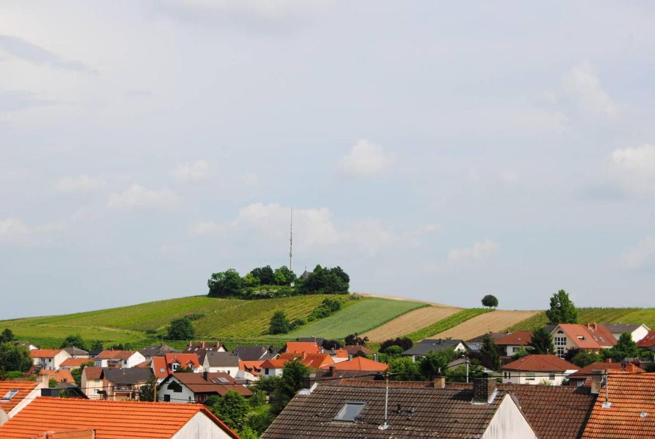 Ferienwohnung Kirchbergblick Hackenheim Exterior photo